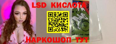 амф Сланцы