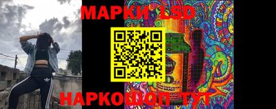 амф Сланцы
