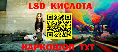 амф Сланцы